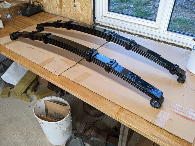 shiny leaf springs